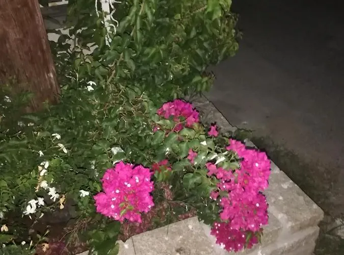 Kalina,studio 5 Дом отдыха