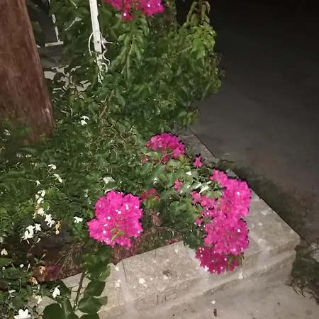 Kalina,studio 5 Holiday home